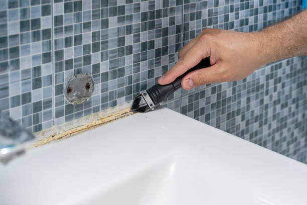 Best Emergency Mold Removal  in Christopher, IL
